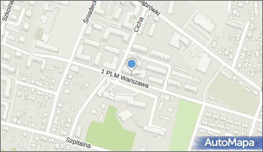 Farmacja Choma, Ul. 1 Plm Warszawa 5/4, Mińsk Mazowiecki 05-300, godziny otwarcia, numer telefonu