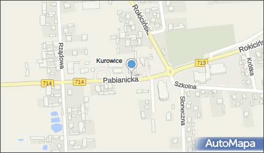 7280003019, Apteka Elżbieta Antoniewicz, Michał Antoniewicz 