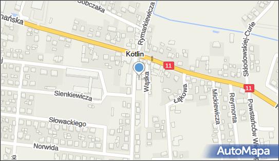 Medicor, Ul. Dworcowa 5, Kotlin 63-220, godziny otwarcia, numer telefonu