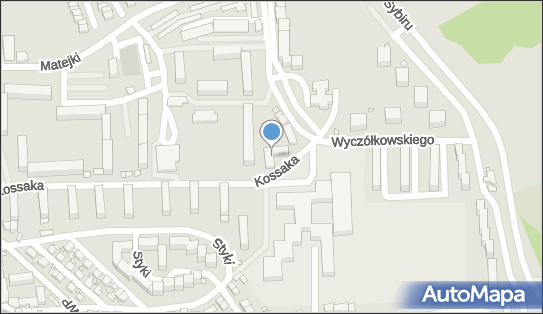 Mniszek, Ul. Wojciecha Kossaka 51, Bogatynia 59-920, godziny otwarcia, numer telefonu