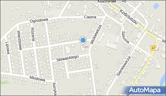 Pod Bliźniętami, Ul. Kopernika 10, Koźminek 62-840, godziny otwarcia, numer telefonu, NIP: 9680589188