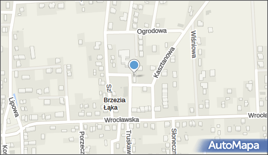 Punkt Apteczny 'Kasztanek', Ul. Krótka 3, Brzezia Łąka 55-093, numer telefonu