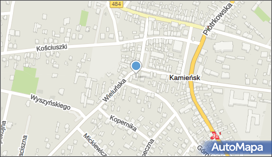 Remedium, Ul. Wieluńska 25, Kamieńsk 97-360, godziny otwarcia, numer telefonu