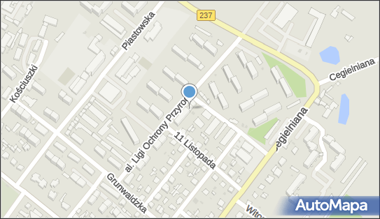 Tucholska, Al. Ligi Ochrony Przyrody 10A, Tuchola 89-501, godziny otwarcia, numer telefonu
