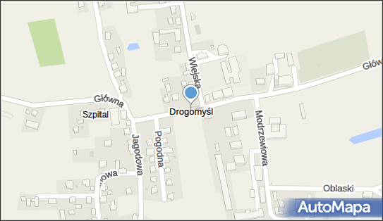 Dwór, kościół, Wiejska 1, Drogomyśl 43-424 - Atrakcja turystyczna, numer telefonu