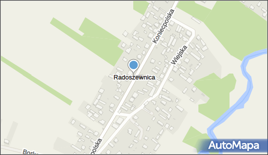 Dwór, park, rezerwat, Koniecpolska 41, Radoszewnica 42-230 - Atrakcja turystyczna