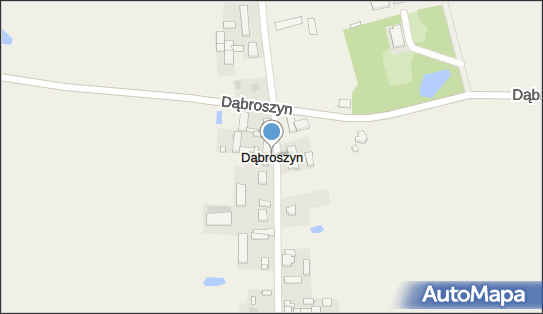 Dwór, park, Dąbroszyn 28, Dąbroszyn 62-570 - Atrakcja turystyczna