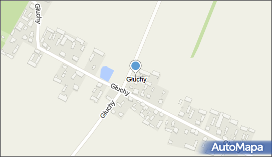 Dwór, park, Głuchy 24, Głuchy 07-230 - Atrakcja turystyczna