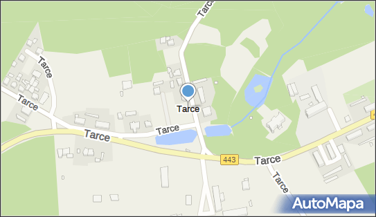 Pałac, park, pomnik, Tarce 14, Tarce 63-200 - Atrakcja turystyczna
