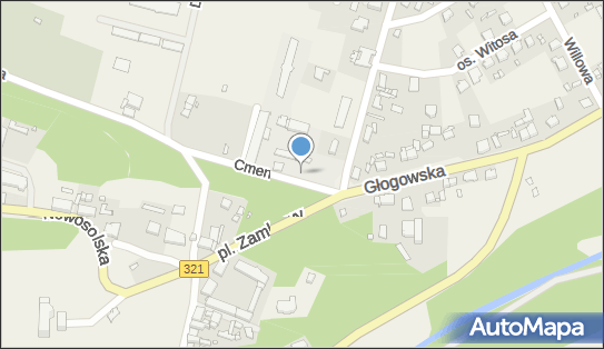 Ruiny Zamku w Siedlisku, Kasztanowa 4A, Siedlisko 67-112 - Atrakcja turystyczna, godziny otwarcia