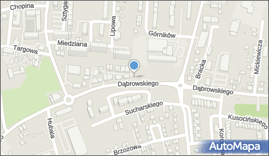 Autoczęści - Sklep, Dąbrowskiego Henryka, gen., Polkowice 59-100 - Autoczęści - Sklep