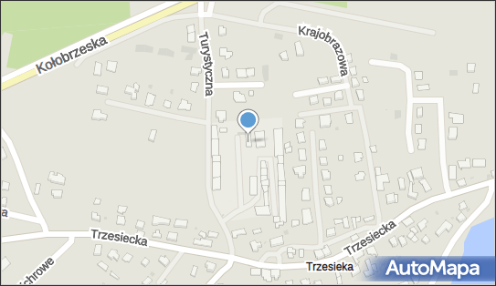 Michałowski Grzegorz Elektromechanika pojazdowa, Radosna 28 78-400 - Autoserwis, numer telefonu