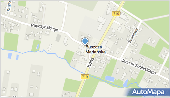 Bank BPS - Bankomat, Papczyńskiego 1, Puszcza Mariańska 96-122, godziny otwarcia
