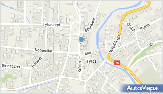 Bank BPS - Oddział, Rynek 5, Tylicz 33-383, numer telefonu