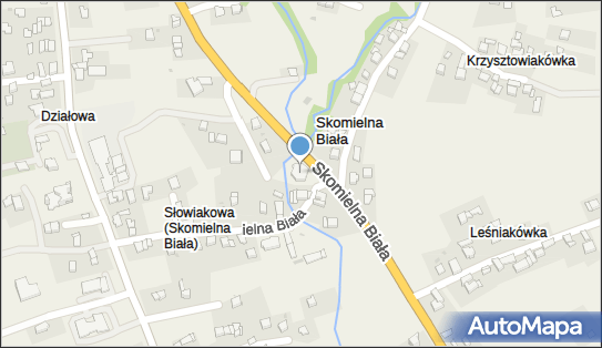 Bank BPS - Oddział, Skomielna Biała 650, Skomielna Biała 32-434
