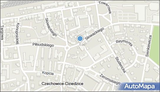 Bank BPS - Oddział, Słowackiego 14, Czechowice-Dziedzice 43-502, numer telefonu