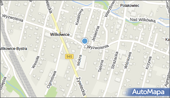 U Bogusia, Wyzwolenia 88, Wilkowice - Bar piwny