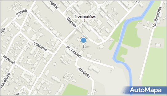 Mini Bar, Plac Lipowy 3, Trzebiatów 72-320 - Bar, NIP: 8571158371