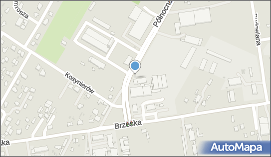 przy Urzędzie Celnym, Brzeska 126, Biała Podlaska 21-500 - Bar