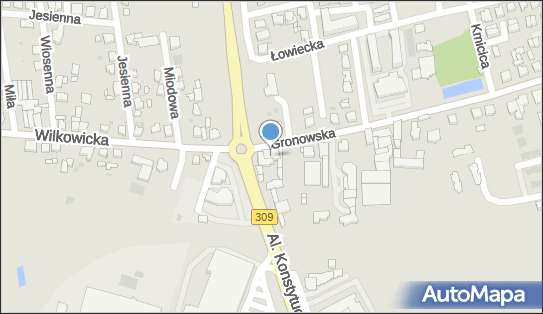 Trasowy, Gronowska 2, Leszno 64-100 - Bar, godziny otwarcia, numer telefonu