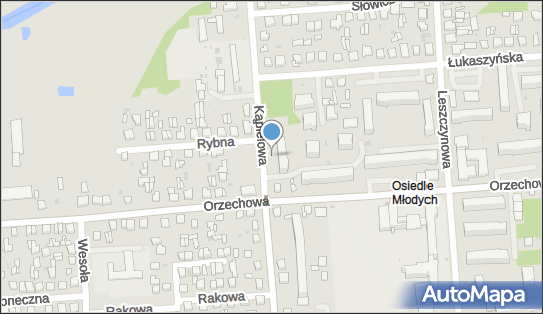 Parking, Kąpielowa, Biała Podlaska 21-500 - Bezpłatny - Parking
