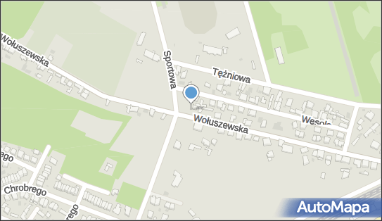 Parking, Wołuszewska 42, Ciechocinek 87-720 - Bezpłatny - Parking
