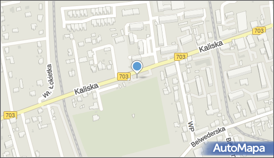 przy cmentarzu, DW703, Kaliska, Łęczyca 99-100 - Bezpłatny - Parking
