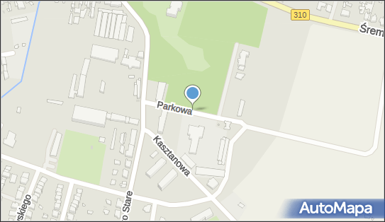 6981721735, Biblioteka Publiczna im.Czesława Przygodzkiego w Czempiniu 