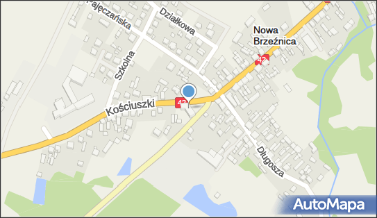 100134298, Gminna Biblioteka Publiczna w Nowej Brzeźnicy 