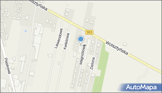 Biedronka - Supermarket, Wolsztyńska 66, Siedlec, godziny otwarcia