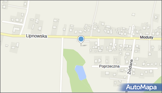 Biedronka - Supermarket, Lipnowska 37, Wielgie 87-603, godziny otwarcia