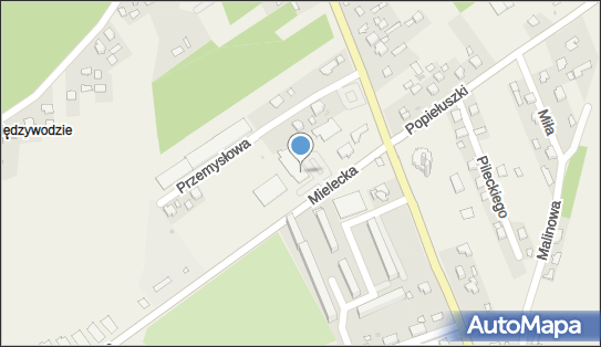 Biedronka - Supermarket, Mielecka 6, Skopanie, godziny otwarcia