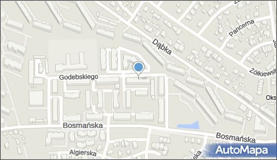 9580342519, Agata Falk Agan Express 