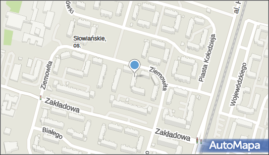 7281144199, Adam Modzelewski 