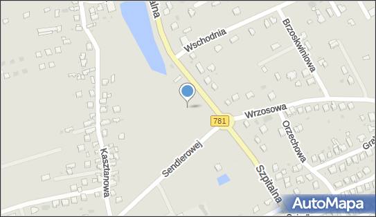 Boisko sportowe, Szpitalna 125, Chrzanów 32-500 - Boisko sportowe