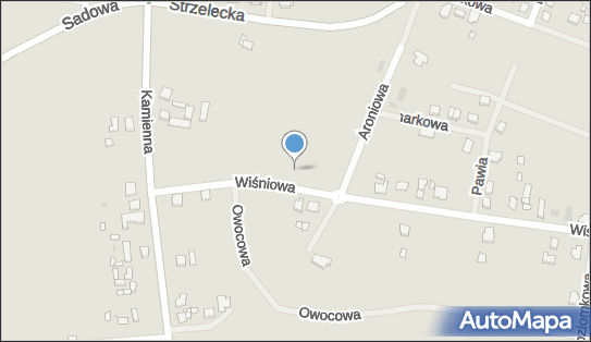 Orlik 2012, Wiśniowa 12, Ostrów Wielkopolski 63-400 - Boisko sportowe