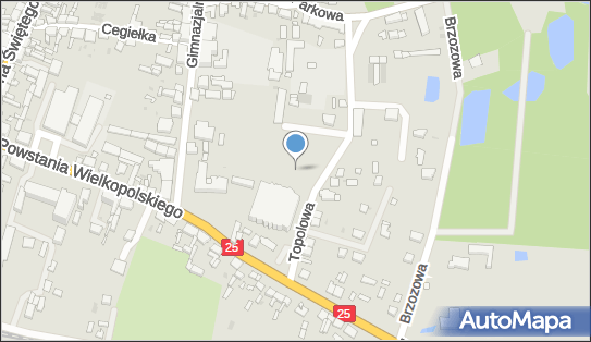 Orlik, Topolowa 10, Strzelno 88-320 - Boisko sportowe