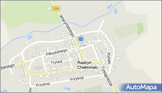 BS w Brodnicy - Bankomat, Plac Towarzystwa Jaszczurczego 13 87-220, godziny otwarcia