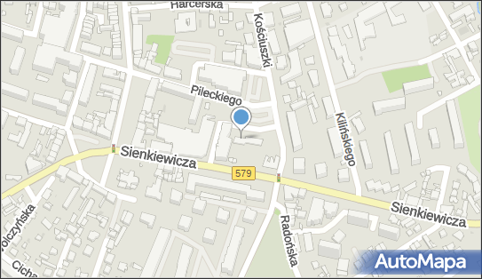 5290006604, Żelmet Artur Rychter, Grzegorz Chojecki 