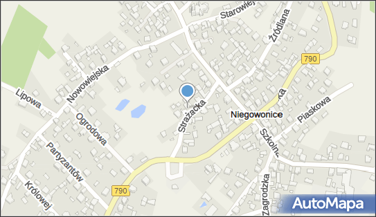 6491954923, Firma Handlowo - Usługowa 