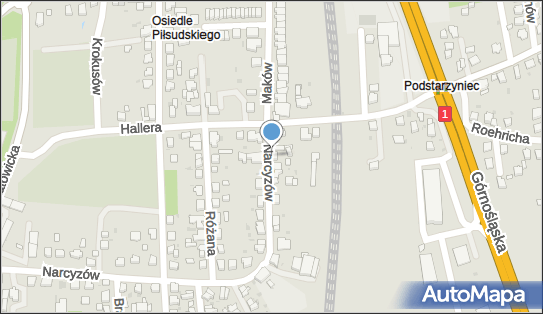 Alien Dziędziel Marek, Narcyzów 46, Pszczyna 43-200 - Budownictwo, Wyroby budowlane, NIP: 6381273139