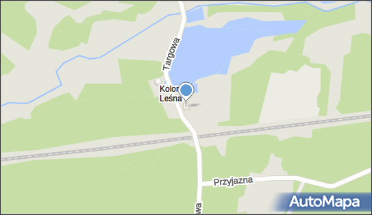 Andrzej Szymura, Targowa 4, Żory 44-240 - Budownictwo, Wyroby budowlane, NIP: 6511689218