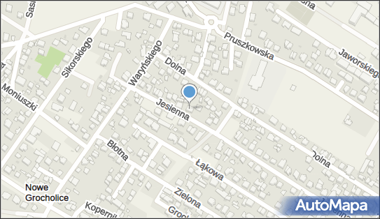 017206576, Anwil Krzysztof Łajszczak 