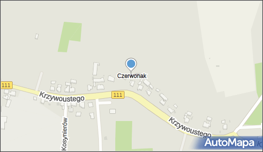 Arsany, Czerwonak 6, Czerwonak 72-112 - Budownictwo, Wyroby budowlane, NIP: 8561733879