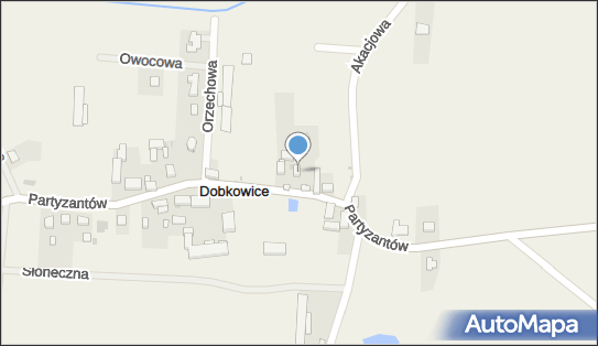 8961140605, Dasat Dariusz Sztandara 