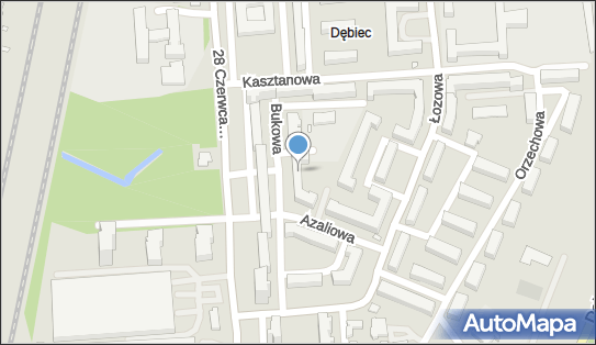 7831518743, Dawid Kubiak Daw-Błysk 