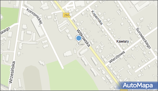 Dom Polski Alina Malak-Krych, Witkowska 26, Gniezno 62-200 - Budownictwo, Wyroby budowlane, NIP: 7841676018