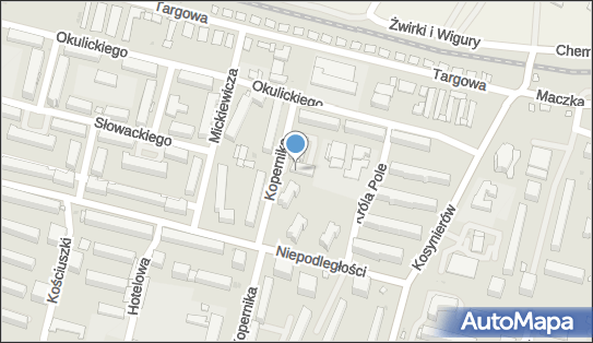 7132879470, Domiro Ireneusz Basiak 