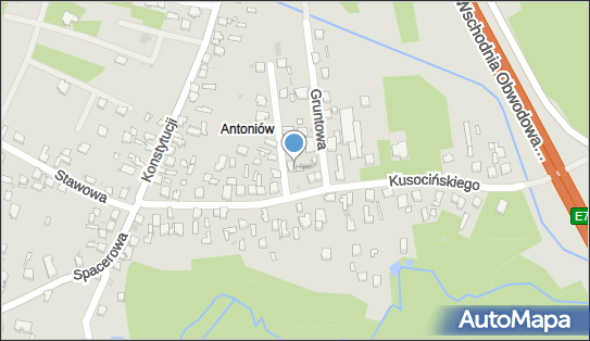6290025499, Dzienis Ireneusz 