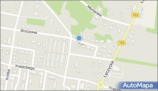 E.T.Dom Tomasz Kaźmierczak, Brzozowa 7, Poddębice 99-200 - Budownictwo, Wyroby budowlane, NIP: 8281243909
